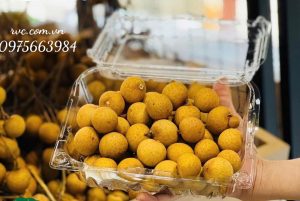 Hộp nhựa đựng hoa quả 500g