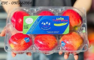 Hộp nhựa đựng 6 trái táo