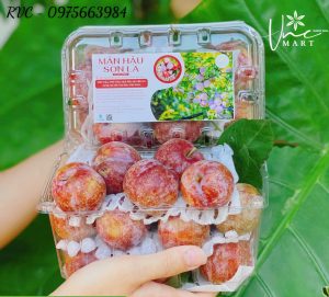 Hộp nhựa trái cây 1kg