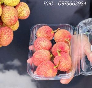 Hộp đựng trái cây P350A