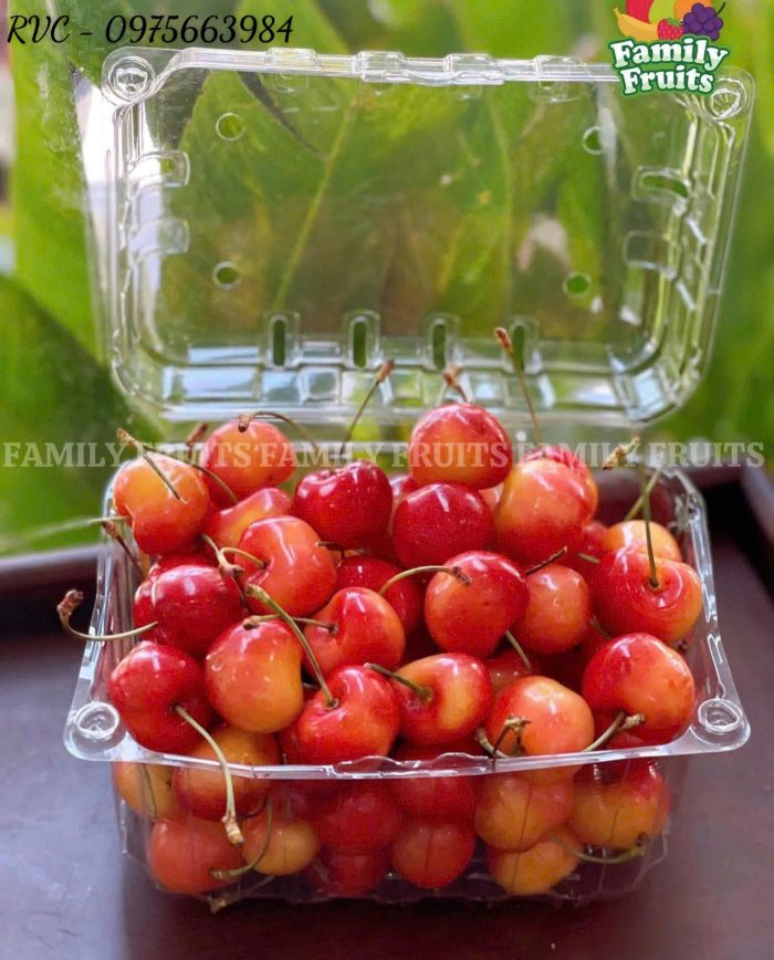 Hộp đựng trái cây